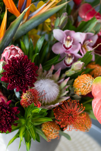 Isla - Exotic Tropical Statement Arrangement