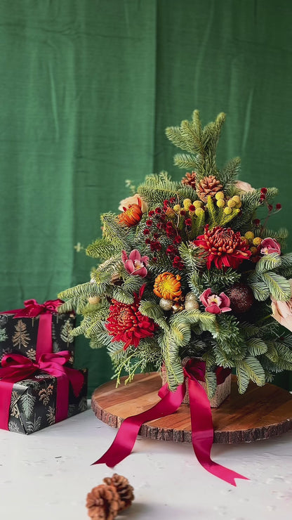 Velvet Noel - A Mini Bloom Holiday Tree